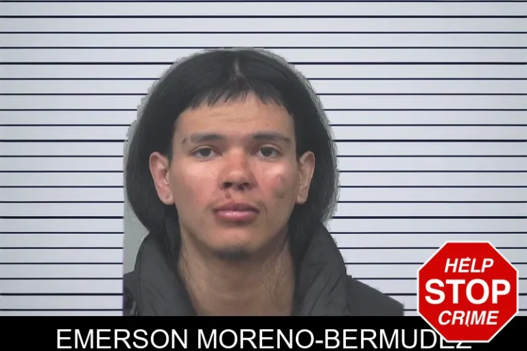 Emerson Moreno-Bermudez