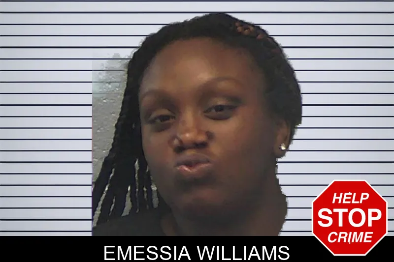 Emessia Williams mugshot – Ware County , Georgia Emessia Williams mugshot