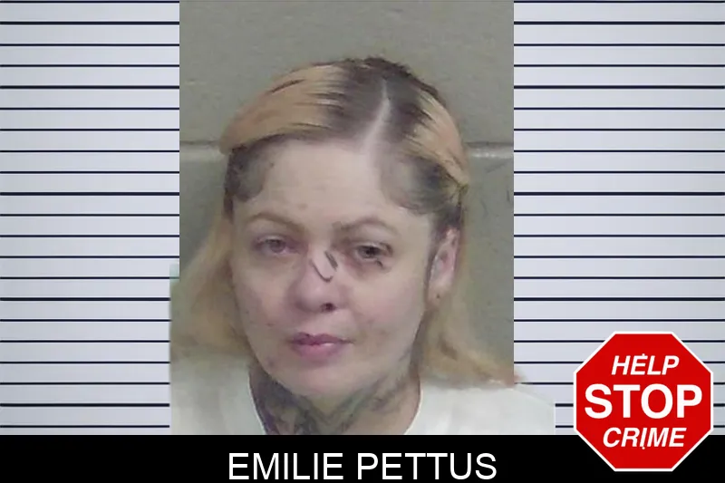 Emilie Pettus mugshot – Wayne County , Georgia Emilie Pettus mugshot