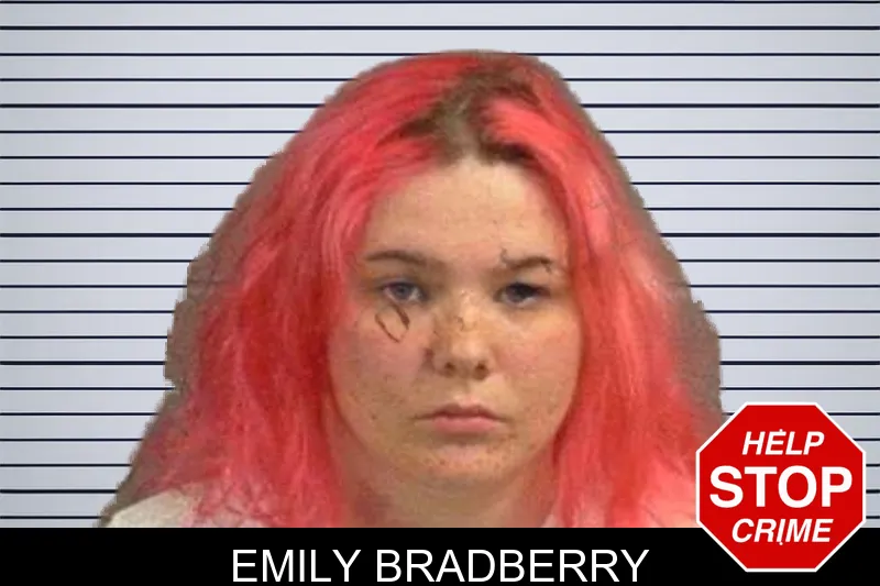 Emily Bradberry mugshot – Upson County , Georgia Emily Bradberry mugshot