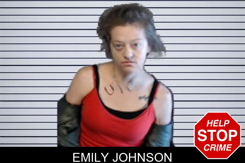 Emily Johnson mugshot