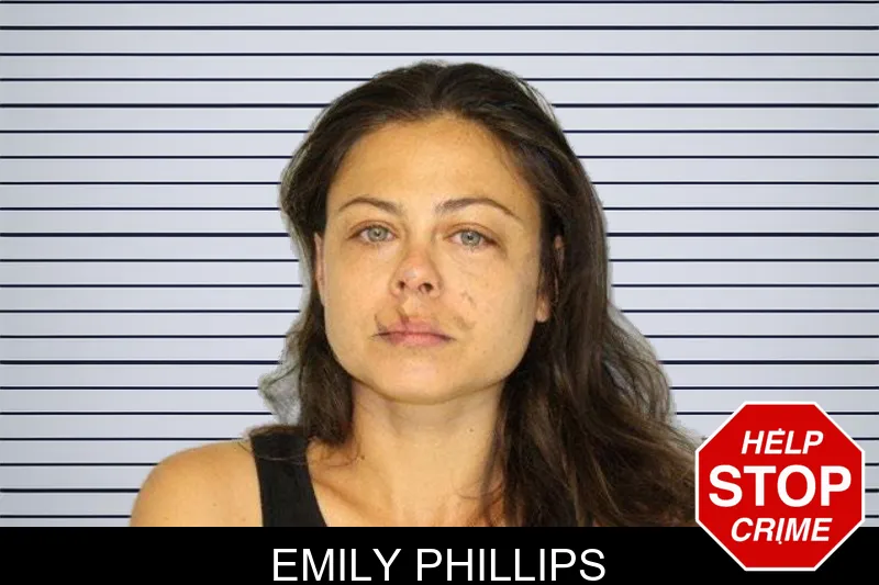 Emily Phillips mugshot – Hall County , Georgia Emily Phillips mugshot