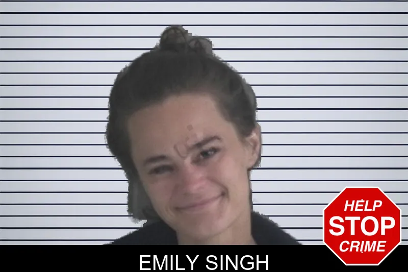 Emily Singh mugshot – Brantley County , Georgia Emily Singh mugshot