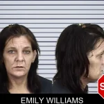 Emily Williams mugshot – Camden County , Georgia Emily Williams mugshot