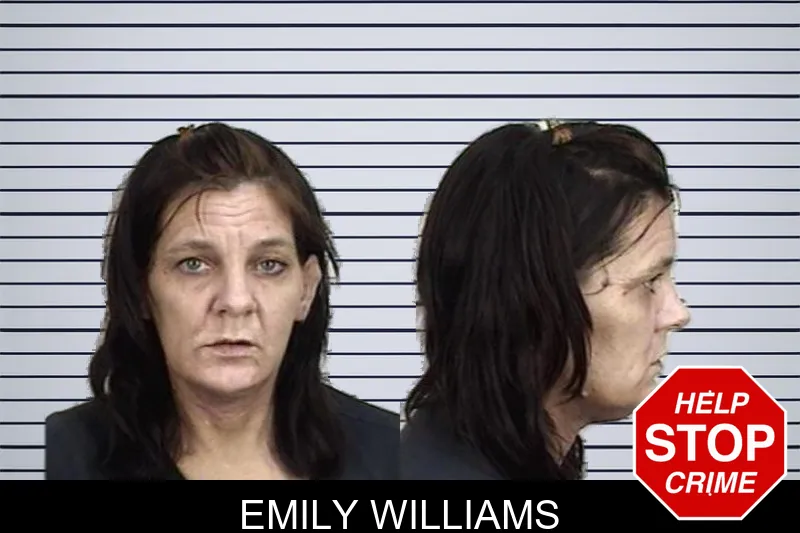 Emily Williams mugshot