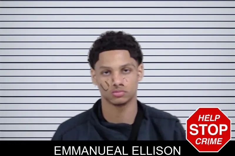 Emmanueal Ellison mugshot