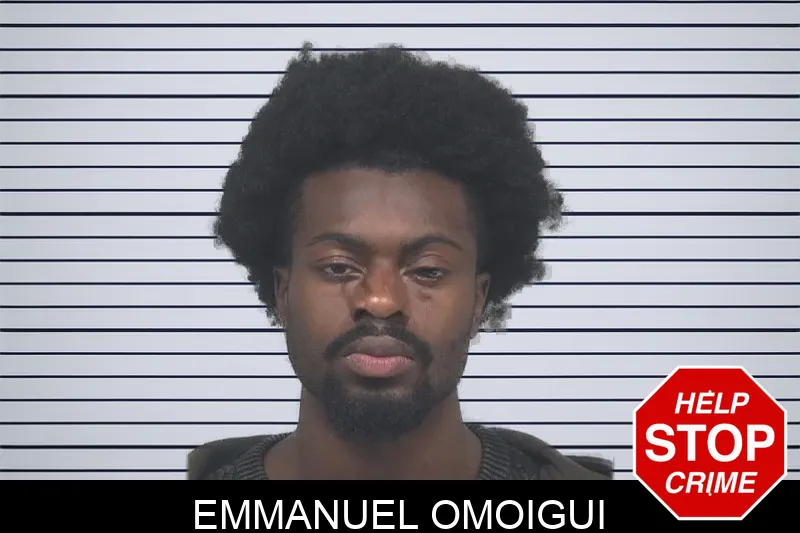 Emmanuel Omoigui mugshot
