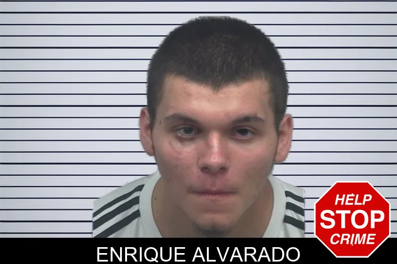 Enrique Alvarado mugshot