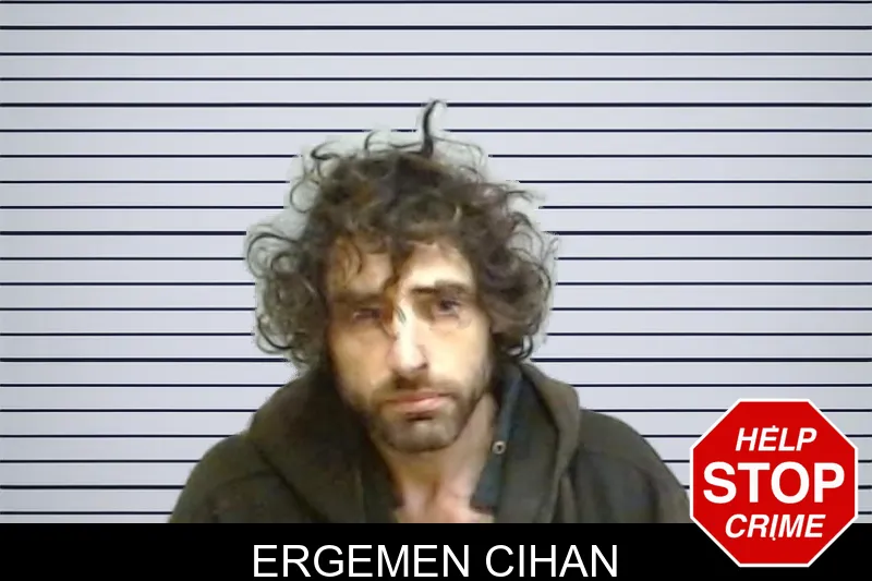 Ergemen Cihan mugshot