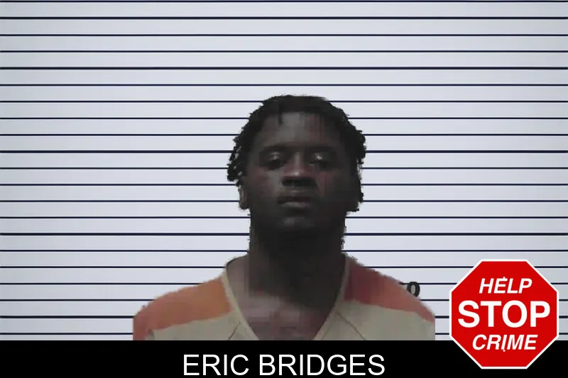 Eric Bridges mugshot – Meriwether County , Georgia Eric Bridges mugshot