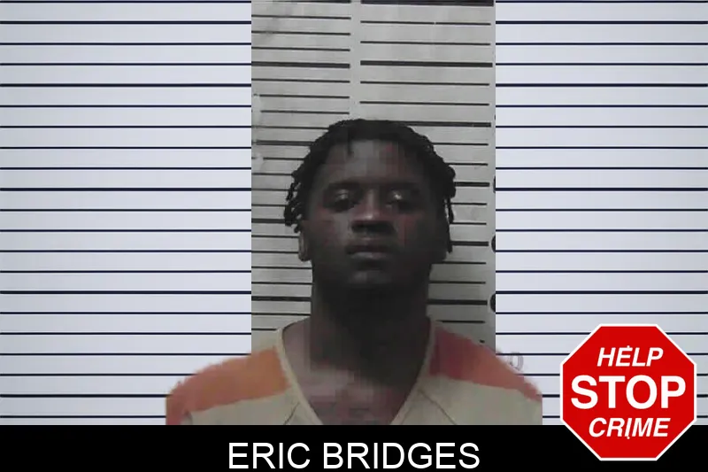 Eric Bridges mugshot