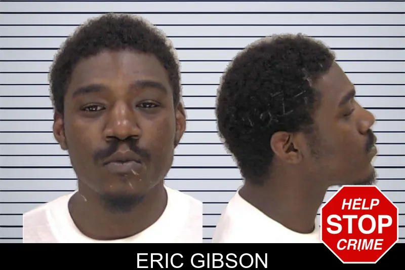 Eric Gibson mugshot