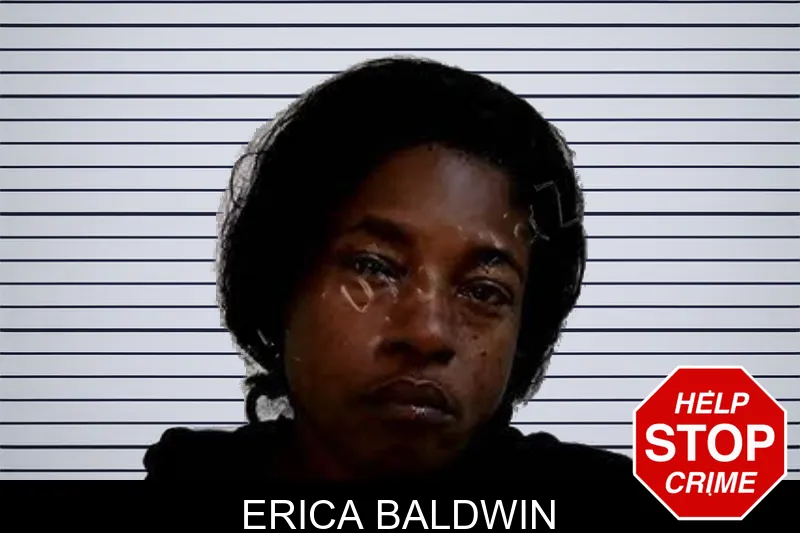 Erica Baldwin mugshot – Decatur County , Georgia Erica Baldwin mugshot