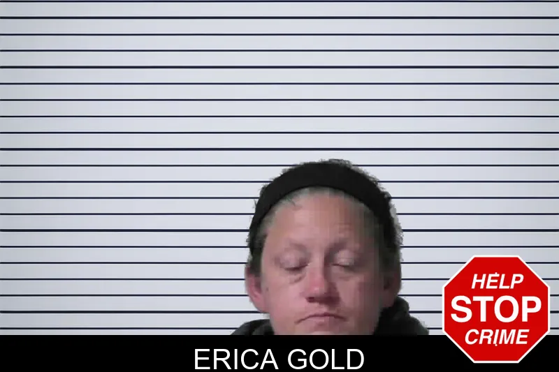 Erica Gold mugshot