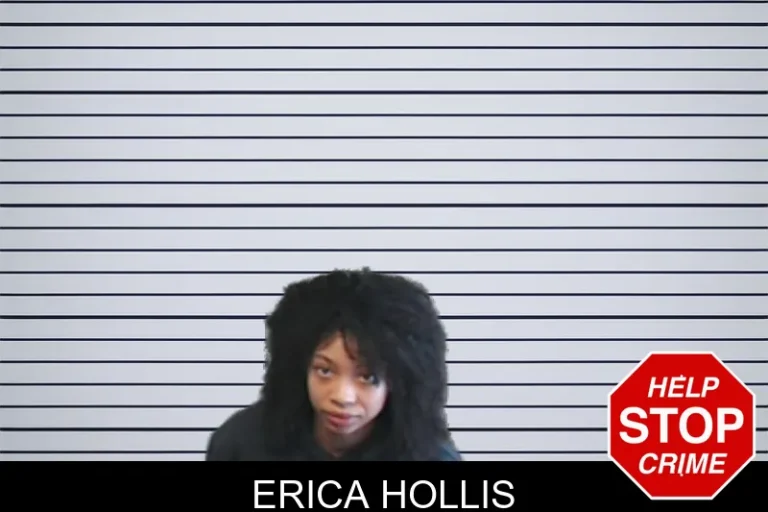Erica Hollis