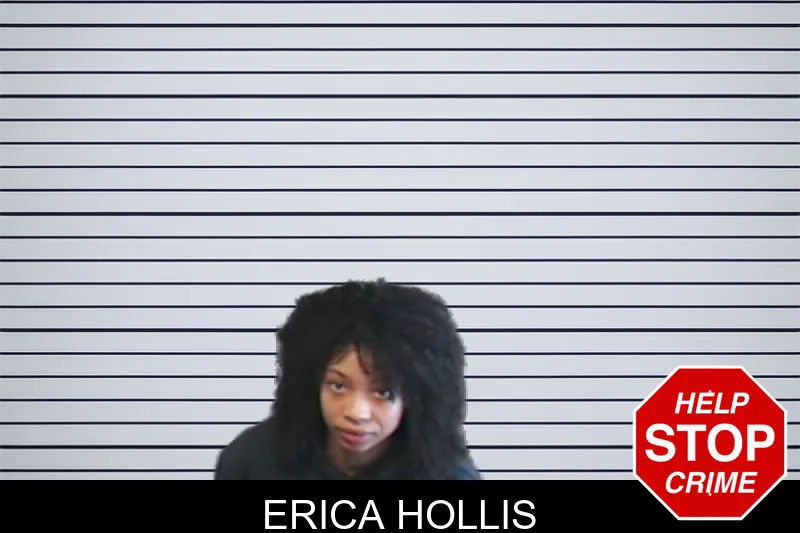 Erica Hollis mugshot