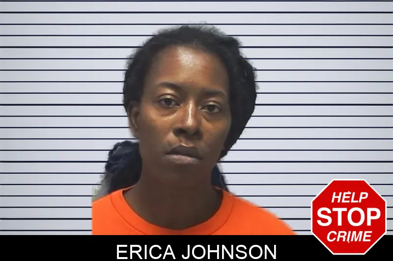 Erica Johnson mugshot