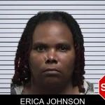 Erica Johnson mugshot