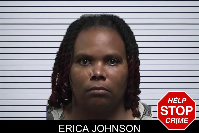 Erica Johnson mugshot