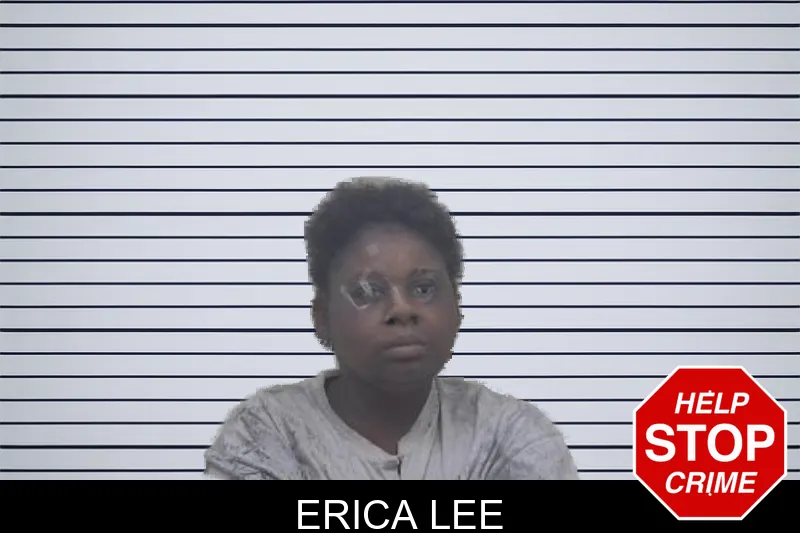 Erica Lee mugshot
