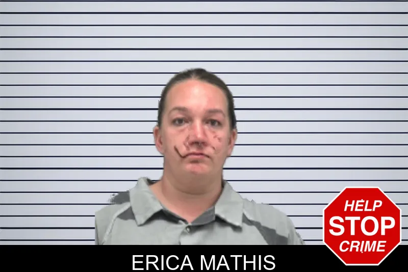 Erica Mathis mugshot