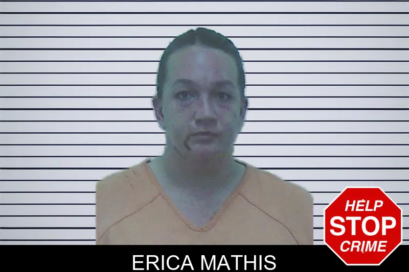 Erica Mathis mugshot