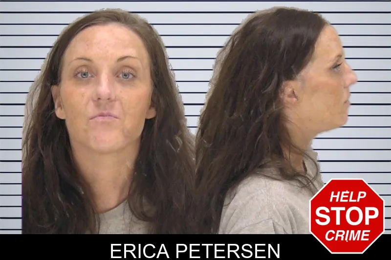 Erica Petersen mugshot