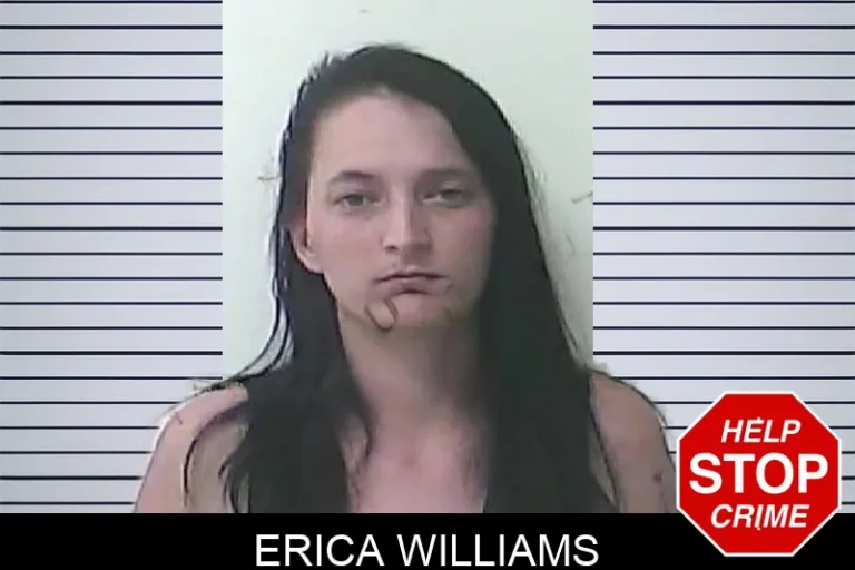 Erica Williams mugshot – Morgan County , Georgia Erica Williams