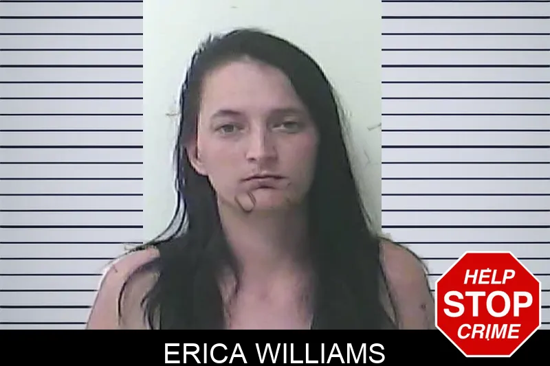 Erica Williams mugshot – Morgan County , Georgia Erica Williams mugshot