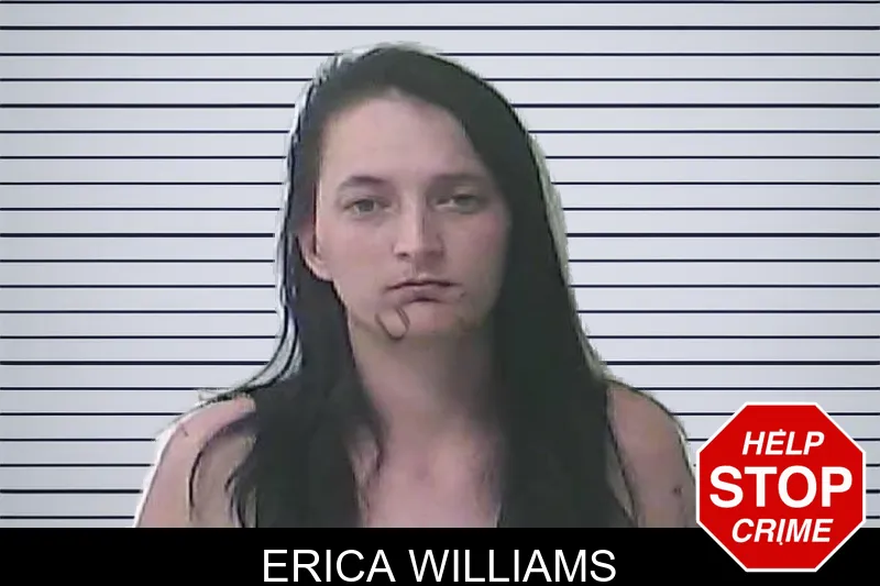 Erica Williams mugshot – Oconee County , Georgia Erica Williams mugshot