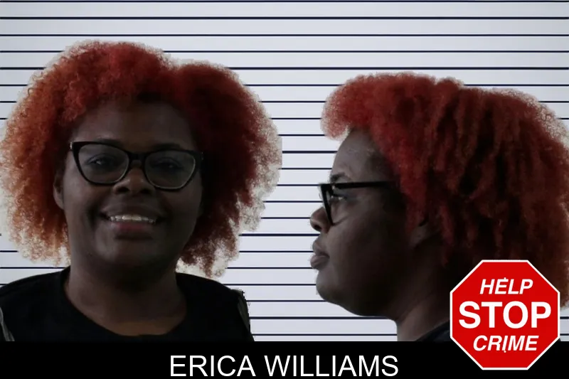 Erica Williams mugshot
