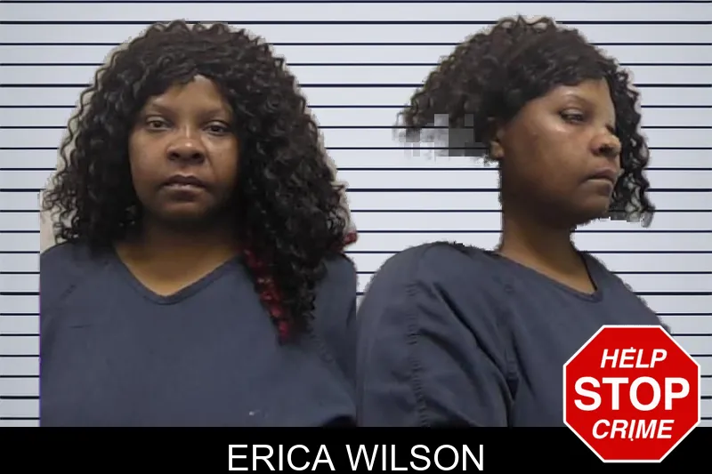 Erica Wilson mugshot – Clarke County , Georgia Erica Wilson mugshot