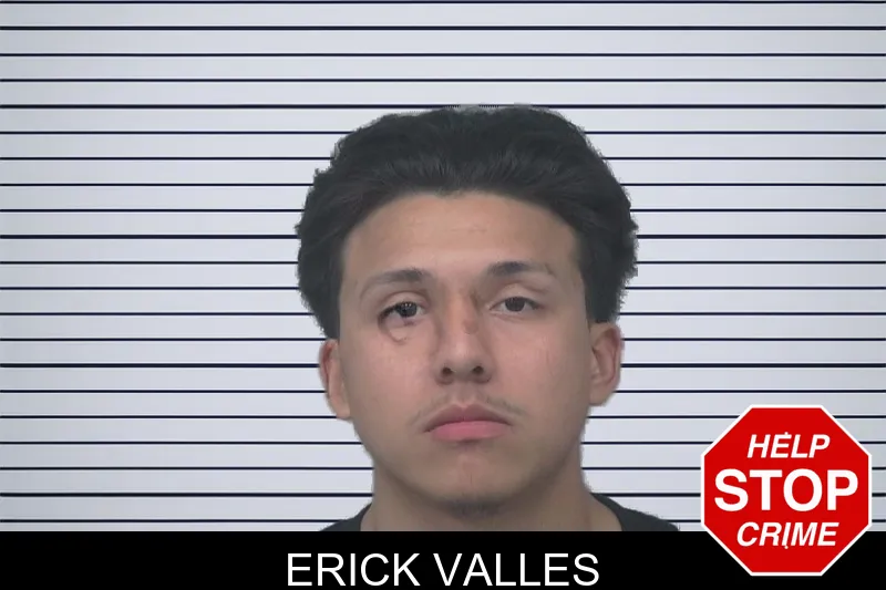 Erick Valles mugshot