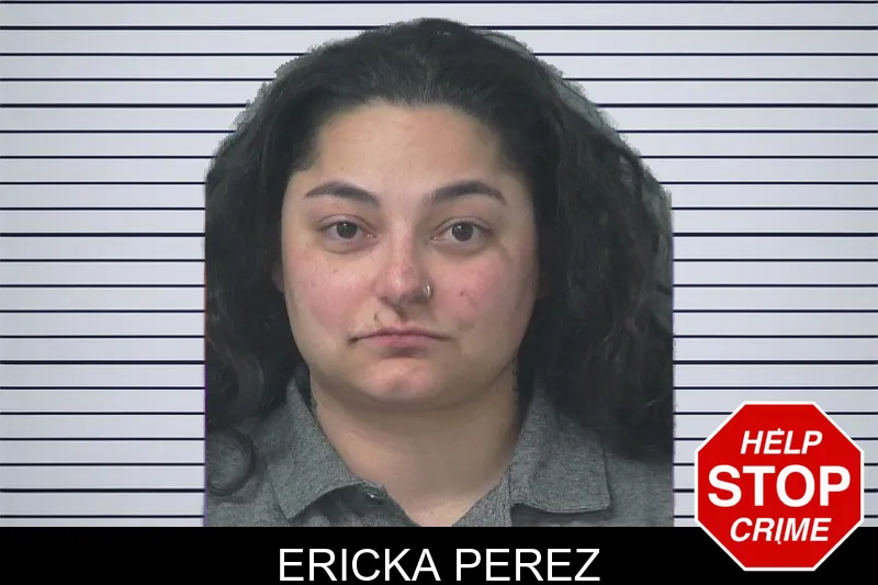 Ericka Perez mugshot – Gwinnett County , Georgia Ericka Perez mugshot
