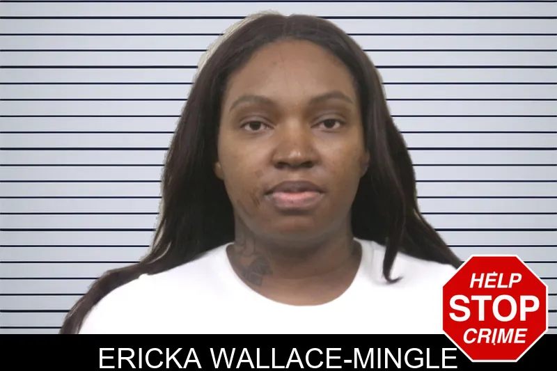 Ericka Wallace-Mingle mugshot