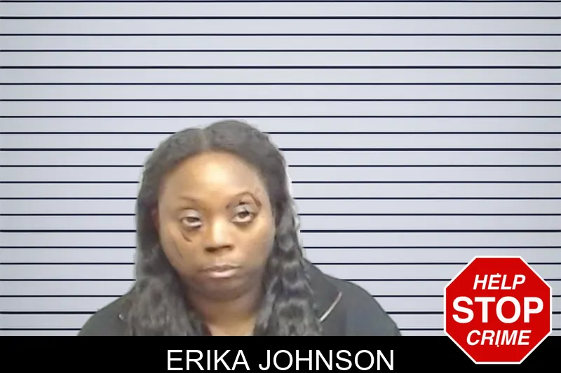 Erika Johnson mugshot