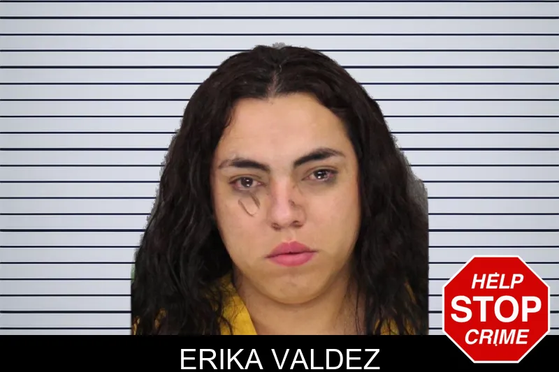 Erika Valdez mugshot – Cobb County , Georgia Erika Valdez mugshot