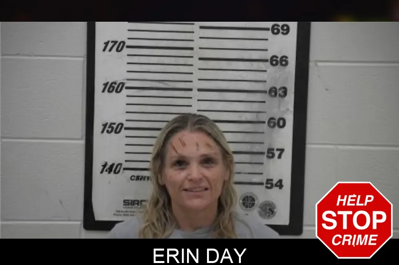 Erin Day mugshot – Coffee County , Georgia Erin Day mugshot