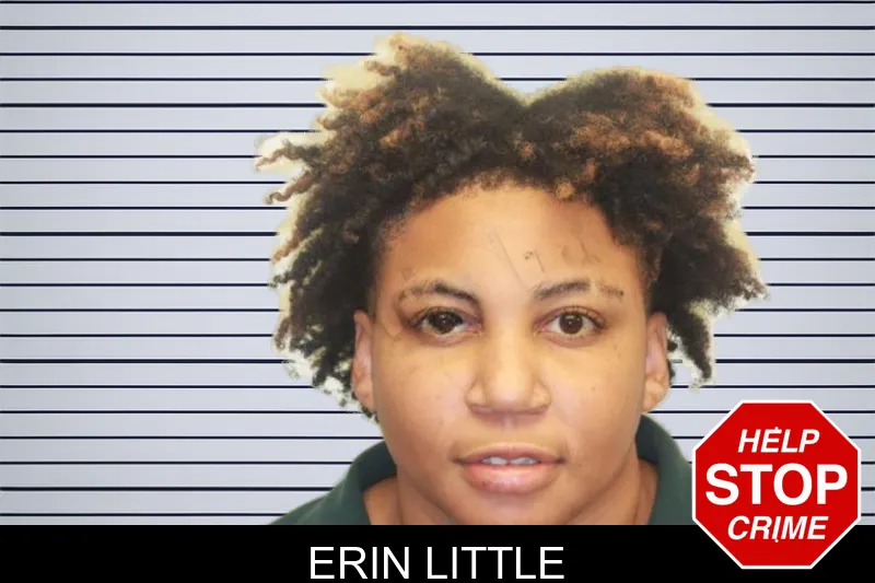 Erin Little mugshot