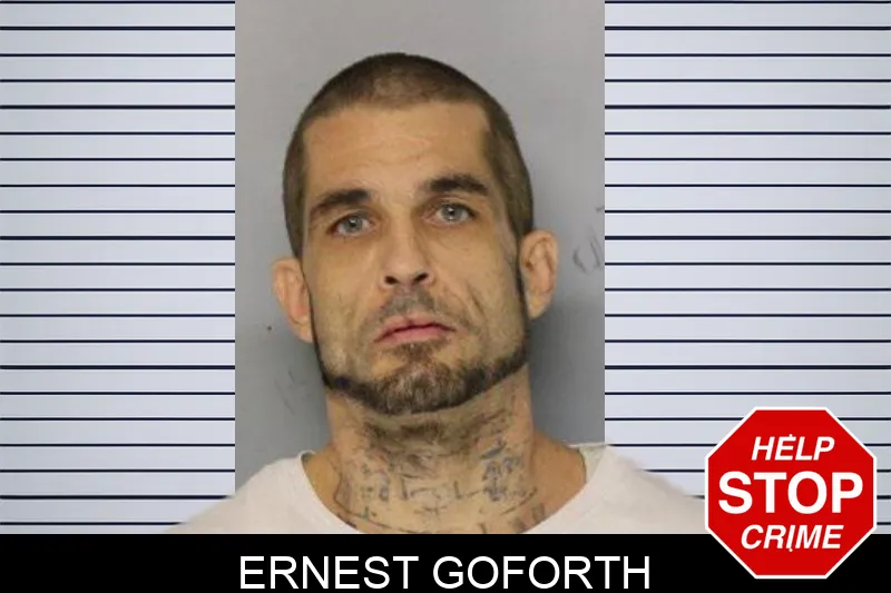 Ernest Goforth mugshot – Hall County , Georgia Ernest Goforth mugshot