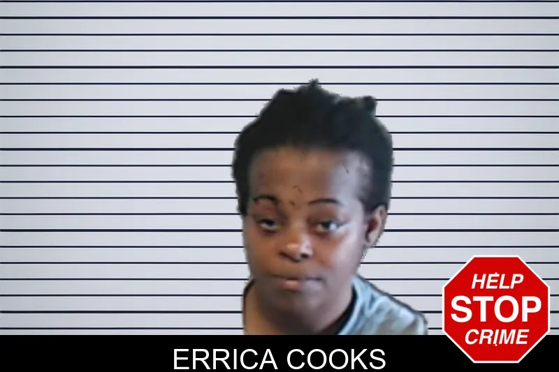 Errica Cooks mugshot
