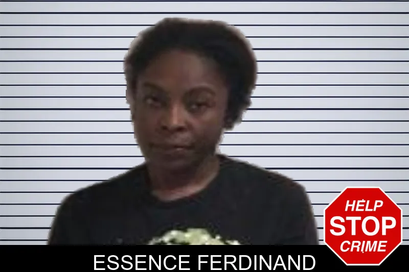 Essence Ferdinand mugshot – Henry County , Georgia Essence Ferdinand mugshot