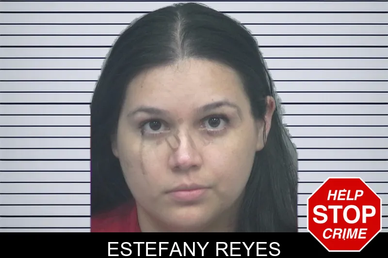 Estefany Reyes mugshot