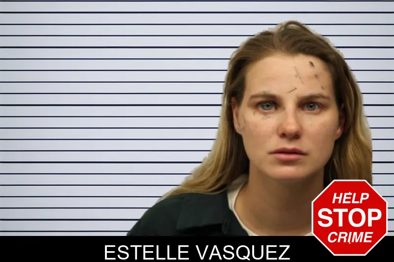 Estelle Vasquez mugshot – Chatham County , Georgia Estelle Vasquez mugshot