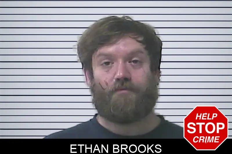 Ethan Brooks mugshot