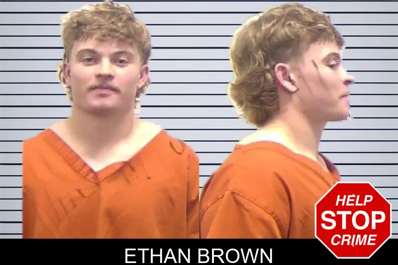 Ethan Brown mugshot
