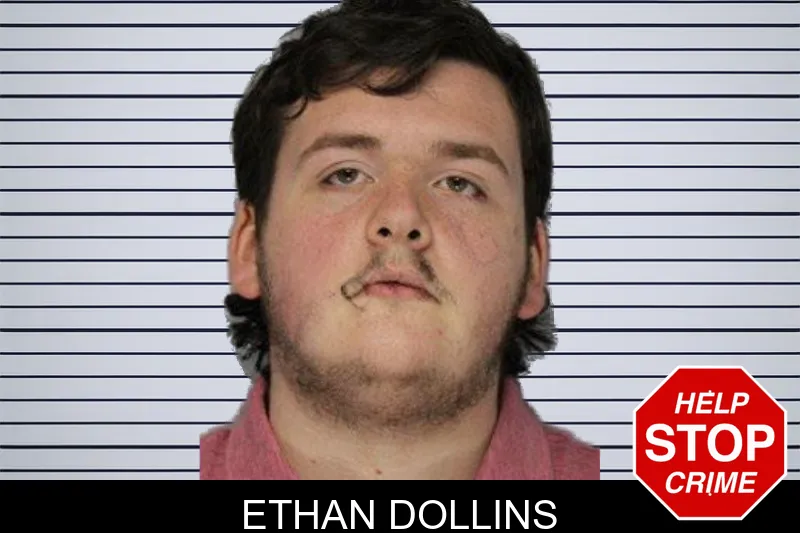Ethan Dollins mugshot – Hall County , Georgia Ethan Dollins mugshot
