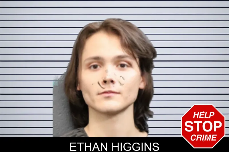 Ethan Higgins mugshot – Forsyth County , Georgia Ethan Higgins mugshot