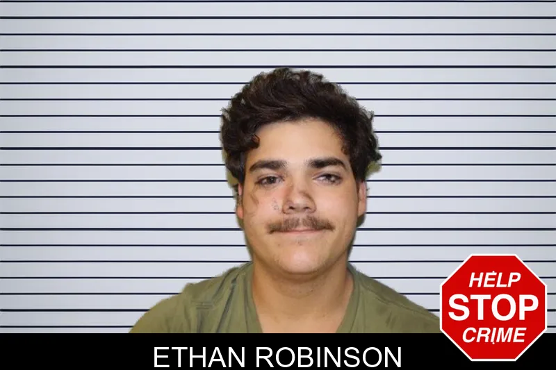 Ethan Robinson mugshot