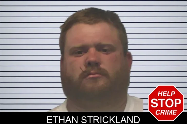 Ethan Strickland mugshot – Ware County , Georgia Ethan Strickland